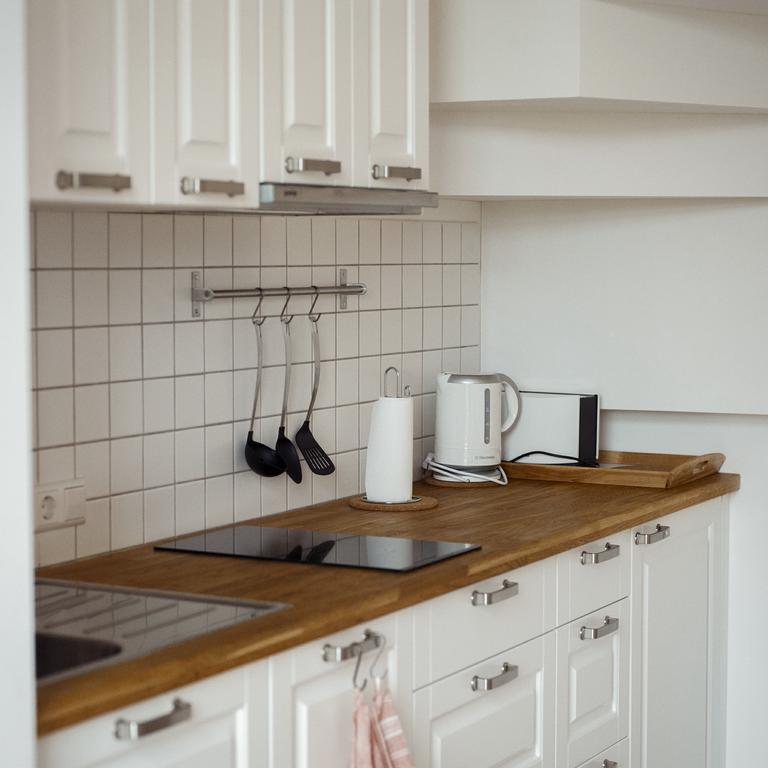 Appartement Domi Lini à Druskininkai Extérieur photo